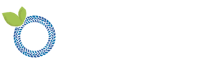 Blueberry Highways Logo