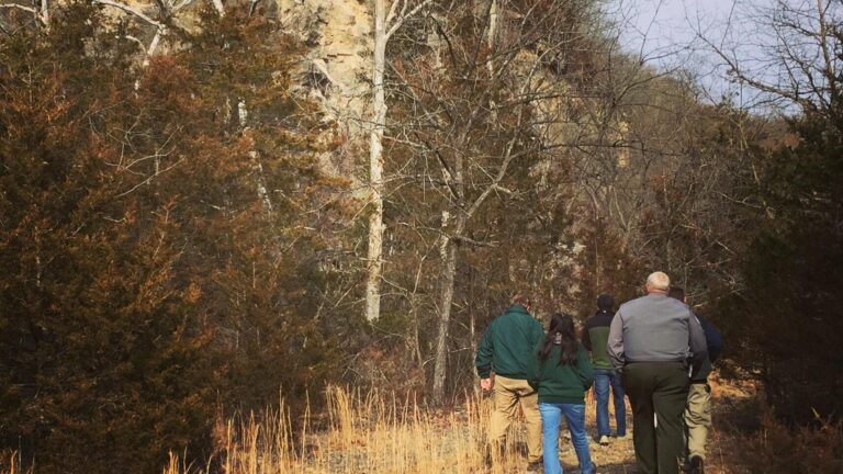 Rock Climbing in Missouri